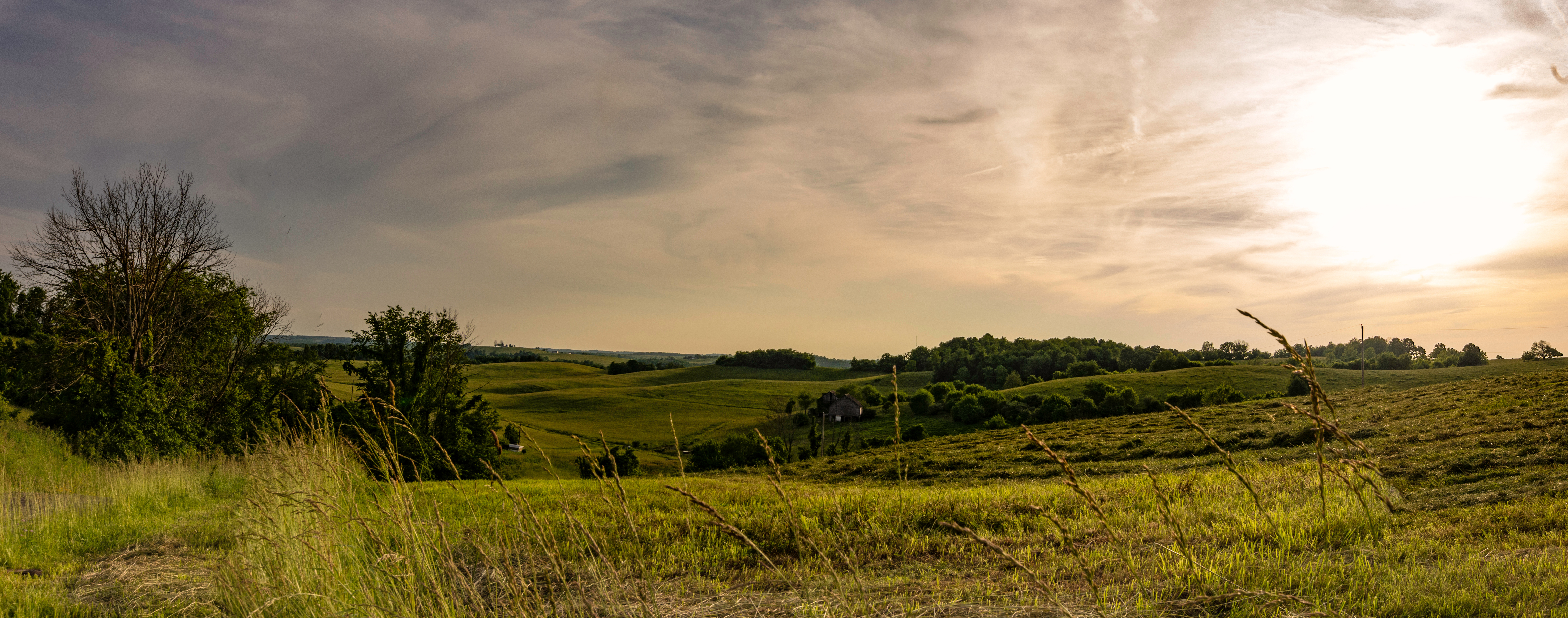 Find Land